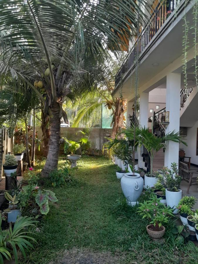 Rose Fort Homestay Jaffna Luaran gambar